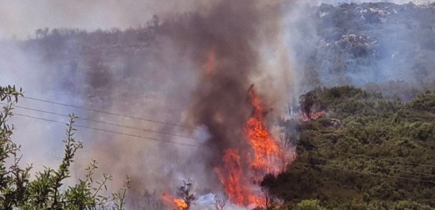 Σε δίκη πρώην εποχικός πυροσβέστης για τις 10 πυρκαγιές